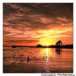 Sunset Pier Photograph by Shanae - Fine Art America Sunset Pier by Shanae