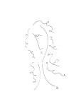3-161 Drawing by Thirtythree The Artist - Fine Art America 3-161 by Thirtythree The Artist