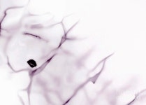 Delight #3 Drawing by Bill Owen - Fine Art America Delight #3 by Bill Owen