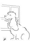 6058 Mendoza Drawing by Canine Caricatures By John LaFree | Fine Art America 6058 Mendoza by Canine Caricatures By John LaFree