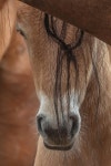 Jt__3895 Photograph by John T Humphrey - Fine Art America Jt__3895 by John T Humphrey