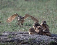 Moms Home Photograph by Karen Slagle - Fine Art America Moms Home by Karen Slagle