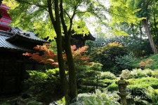 Autumn Oasis Photograph by Carol GroenenAutumn Oasis by Carol Groenen