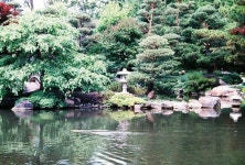 Peaceful Scene Photograph by Samantha Lusby - Fine Art America Peaceful Scene by Samantha Lusby