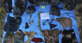 Mass grave uncovered in Mexico: 166 human skulls found in clandestine burial pits, possibly remains of cartel wars-World News... 