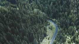 Afforestation could result in loss of biologically valuable forests, be more harmful than beneficial says study-Tech News , Firstpost