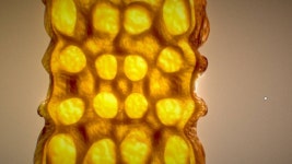 Mutating Cube 무료 3D 모델 - .blend - Free3D