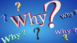 Stan – Why?點解? Lyrics | Genius Lyrics Stan – Why?點解?