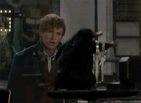 Fantastic Beasts and Where to Find Them: The Original Screenplay by J.K. Rowling | Goodreads Fantastic Beasts and Where to Find... 