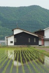鶴居の家 by 辻建築設計室 | homify