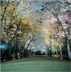 부천 도당산_2002 by Eon SLD | homify