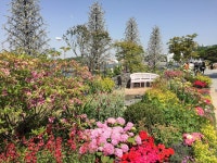 2017 고양꽃박람회 <골목길의 향수> by 아이디얼가든 (IDEALGARDEN) | homify