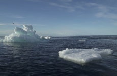 World’s oceans at most acidic level in 26,000 years - The Jerusalem Post World’s oceans at most acidic level in 26,000 years