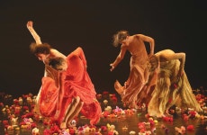 Israel Museum’s Dance: Dancing in the dark - Israel News - The Jerusalem Post Israel Museum’s Dance: Dancing in the dark