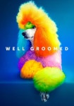Well Groomed - movie: where to watch streaming online