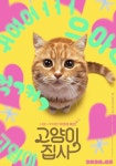 고양이 집사 영화 스트리밍으로 볼 수 있는 곳