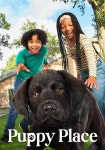 Puppy Place Season 1 - watch full episodes streaming online