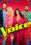 The Voice Stagione 22 - episodi in streaming online
