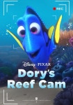 Dorys Reef Cam - movie: watch streaming online