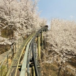 화담숲 후기 - 축구의시작, 킥오프 화담숲 후기