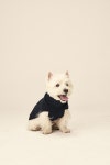                                     [J.RIUM PET] 캐시미어 케이블 롤넥 네이비_J RIUM                         [J.RIUM PET] 캐시미어 케이블 롤넥... 
