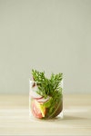                                     [비젼글래스] S (195ml)_VISIONGLASS                         [비젼글래스] S (195ml)