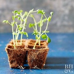 Flipboard의 Farming