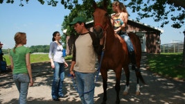 Shannons Rainbow (2009) | MUBI Shannons Rainbow