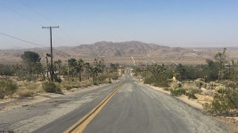 Joan (2017) | MUBI Joan