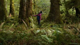 Between Earth & Sky (2023) | MUBI Between Earth & Sky