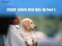 강아지가 우리에 얼굴을집어넣어요.ㅠㅠ