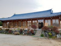 강아지 훈련 큐앤에이는 아니에요 강아지 훈련큐앤에이는 아니에요