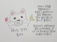 유기견 뭉뭉이 이야기 #9. 뭉뭉이의 양배추 다이어트 – 비마이펫 라이프