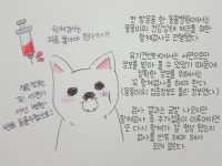 유기견 뭉뭉이 이야기 #4. 항체검사와 예방접종 – 비마이펫 라이프