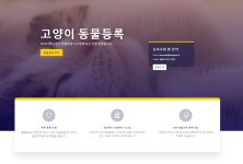 비마이펫, 고양이 동물등록 시스템 민간 최초 런칭 – 비마이펫 라이프