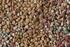 수입 사료 소분(리팩) 시 문제점 총정리 – 비마이펫 라이프