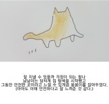 유기견 뭉뭉이 이야기 #16. 고양이와 합사 – 비마이펫 라이프
