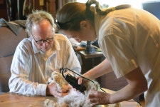 여름맞이 고양이 미용 꼭 필요할까? – 비마이펫 라이프 고양이 봄, 여름맞이 미용 꼭 필요할까?