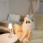 깔끔한 디자인의 강아지 침대 추천 12가지, 군더더기 없이 예뻐요! – 비마이펫 라이프 인테리어하기 좋은 예쁜 강아지 침대♥