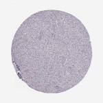 Tissue expression of LRP8 - Staining in liver - The Human Protein Atlas