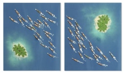 Swimmers 712 & 714 at Etsumi Tropic Japan Painting by Ruben Abstract | Saatchi Art Swimmers 712 & 714 at Etsumi Tropic Japan Painting