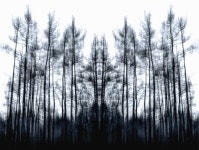 Double photography | Saatchi Art