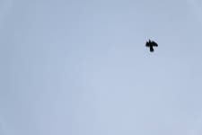 Original Abstract Lenticular Photography For Sale | Saatchi Art