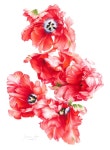 Parrot Tulip paintings | Saatchi Art South Korea