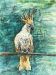 WHITE PARROT- emerald, tropics, turquoise, nature design, bird Drawing by Tatsiana Ilyina | Saatchi Art South Korea WHITE PARROT... 