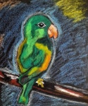 Parrot Art Oil Pastel Drawing Drawing by Maryna Yasar | Saatchi Art South Korea