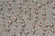 Dreamscape III Photography by Jacynth Roode | Saatchi Art