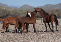 Family Digital by Del Gonzales | Saatchi Art Family Artwork