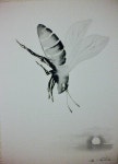 A bee be loved Drawing by Motoko Matsuda | Saatchi Art A bee be loved Drawing