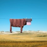 Smoothie Photography by Helga Stentzel | Saatchi Art South Korea